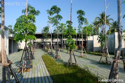 SALA Phuket Resort & Spa 65